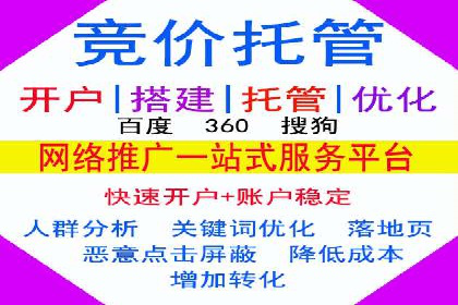 百度推广费用的投入与市场占有率提升的关联案例